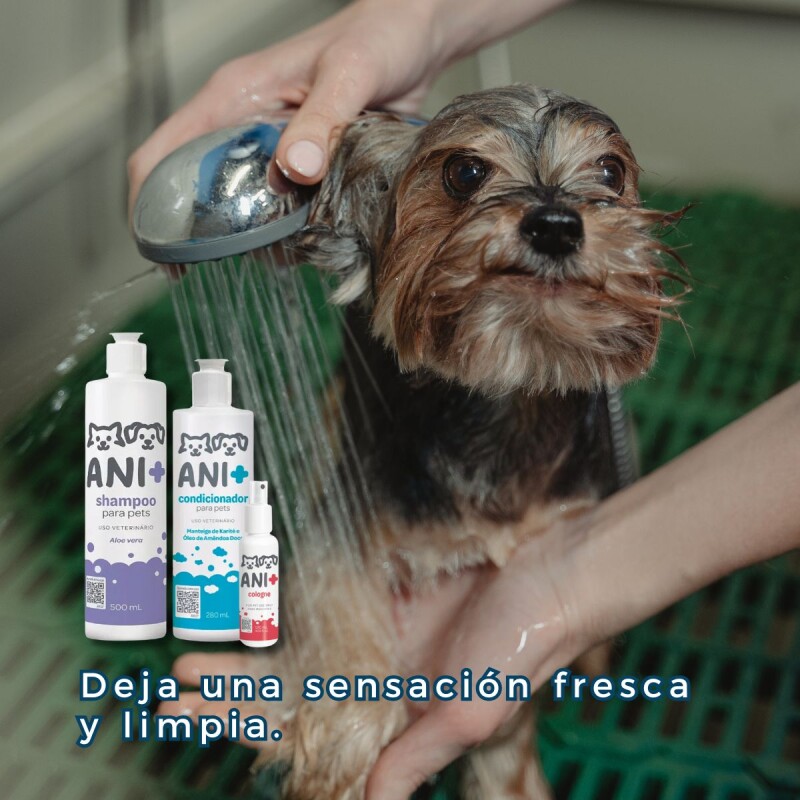 KIT ANI+ SHAMPOO ACONDICIONADOR Y COLONIA PARA PERROS Y GATOS KIT ANI+ SHAMPOO ACONDICIONADOR Y COLONIA PARA PERROS Y GATOS