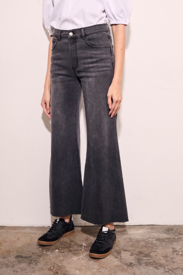 Jean Flared Wide Leg Denim Gris