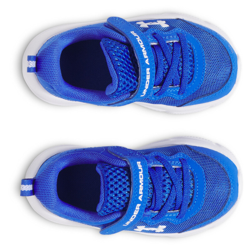 UA BINF Assert 10 AC-BLU BLU-402