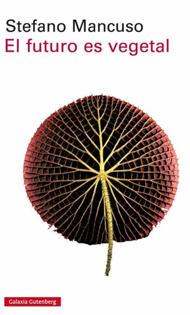 EL FUTURO ES VEGETAL 