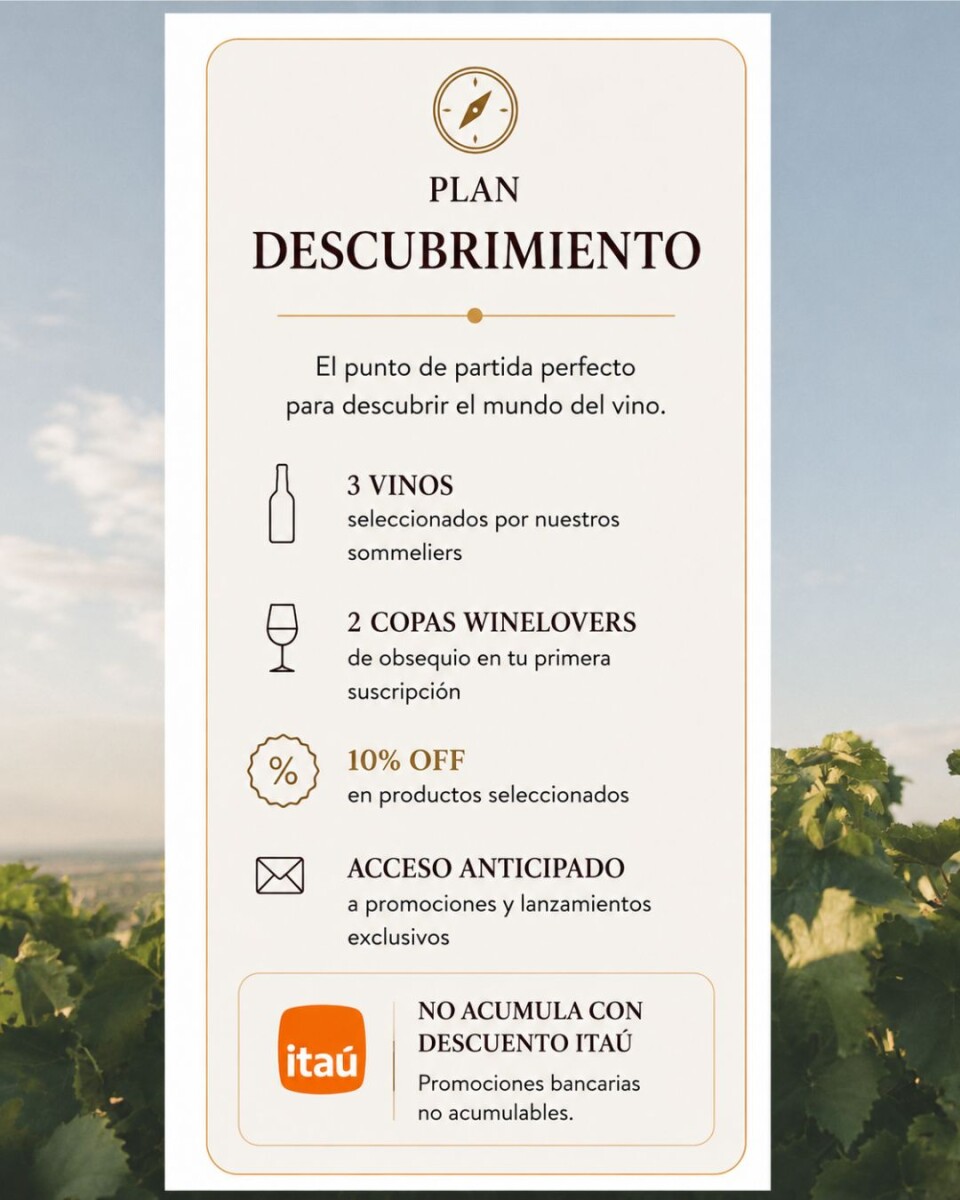 Plan Descubrimiento 