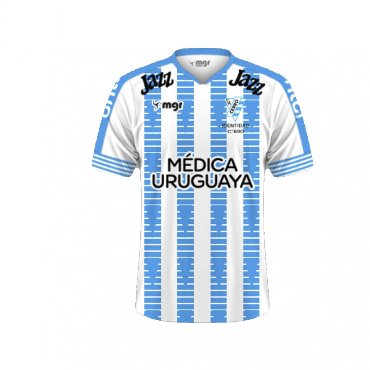 CAMISETA CERRO 