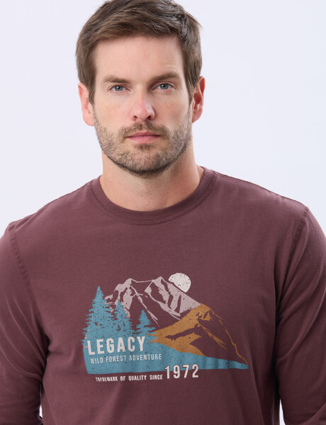 REMERA ESTAMPADA DE ALGODÓN BORDO