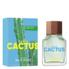 Benetton United Dreams Cactus Eau de Toilette Hombre Edición Limitada 100 ml Benetton United Dreams Cactus Eau de Toilette Hombre Edición Limitada 100 ml