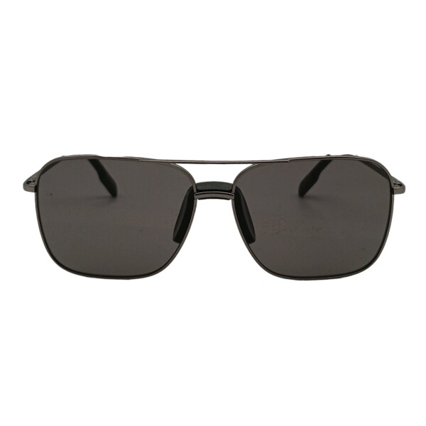 KZ013135 grisuniforme