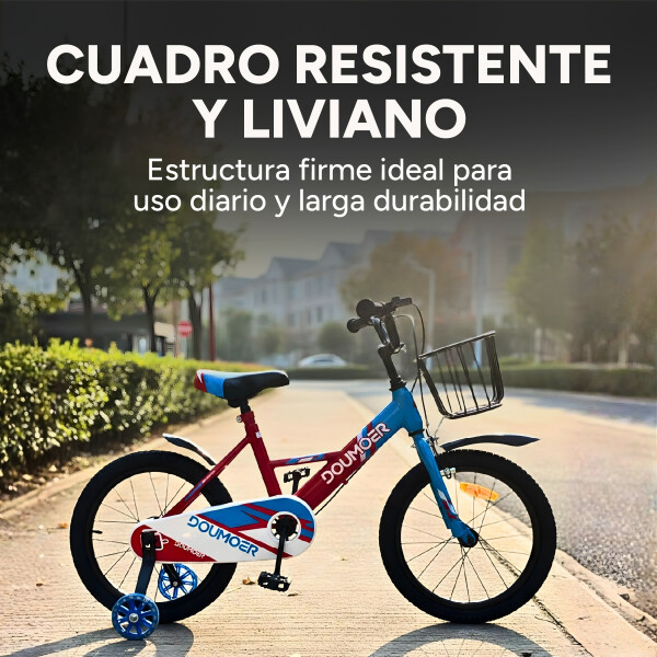 Bicicleta Infantil Doumoer R16 Canasto Parrilla Guardabarros Rojo 1