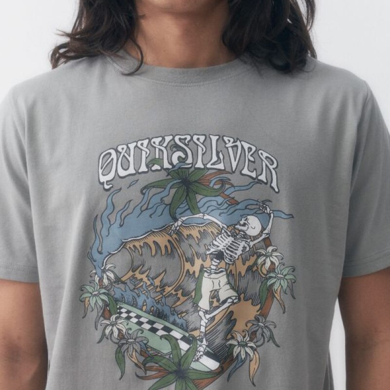 Remera Quiksilver In Waves Gris