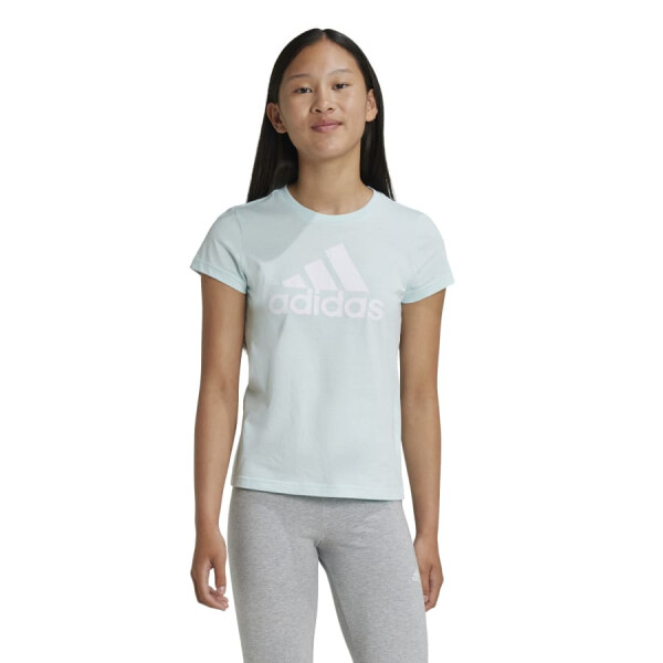 Remera Adidas Essentials Logo de Niños - IZ3468 Menta-blanco