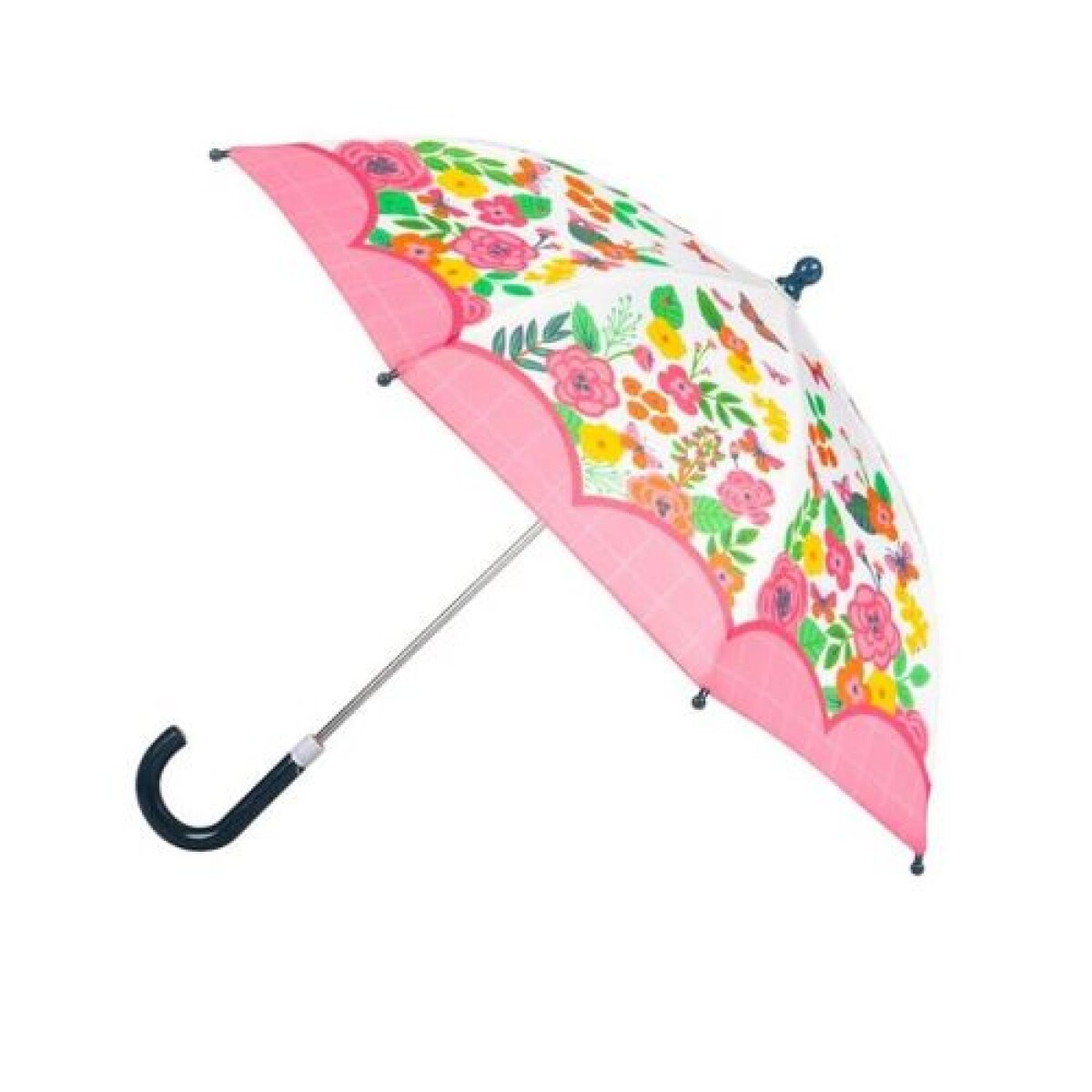 PARAGUA - MARIPOSA - Paragua - Mariposa 