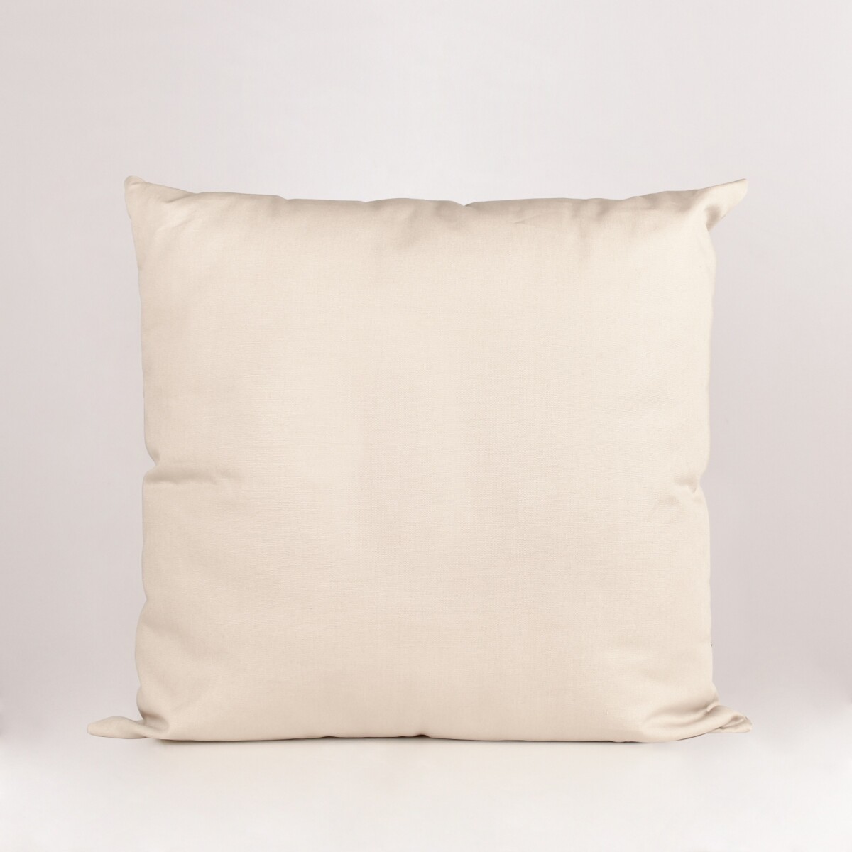 Almohadón Basic - Natural – 45×45 cm 