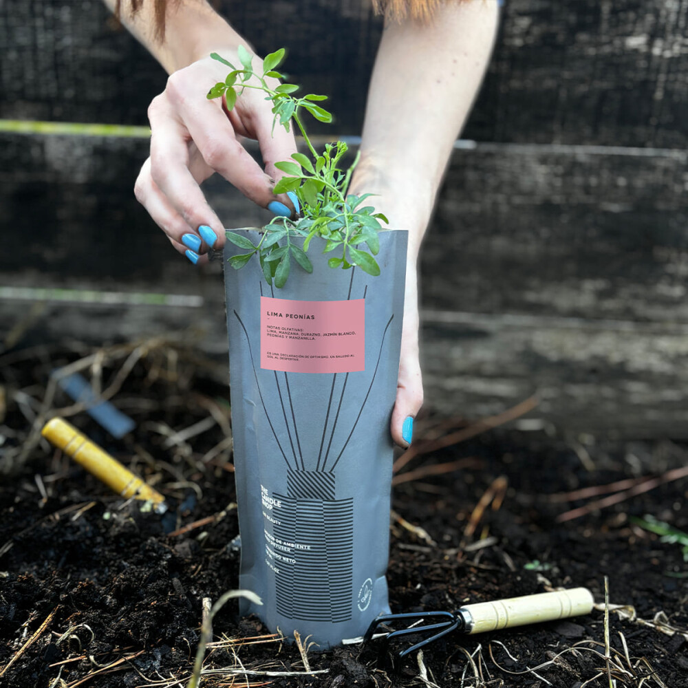 DIFUSOR BASIC COMPOST LIMA PEONÍAS