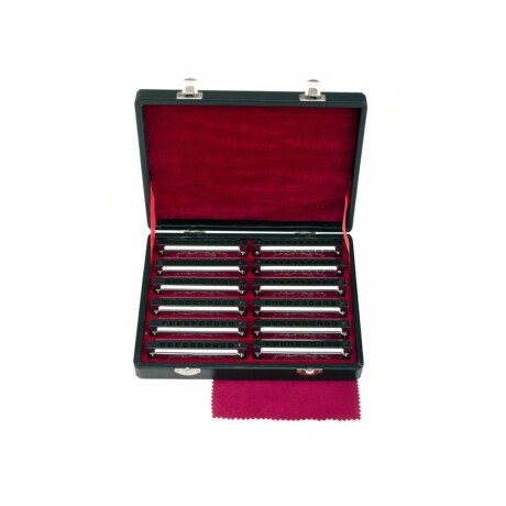 SET ARMÓNICA SX 12 AFINACIÓNES SET ARMÓNICA SX 12 AFINACIÓNES