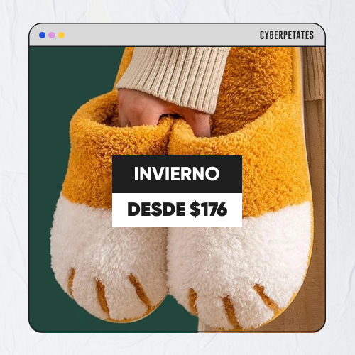 HomeTercio1 - CYBER Invierno