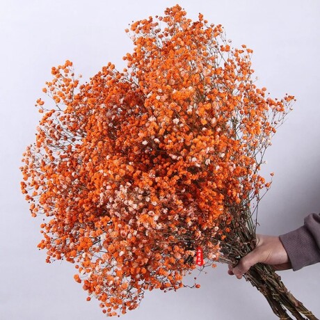 Ramo Frondoso De Flores Secas Naranja