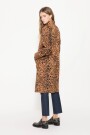 Tapado Bridge Leopardo