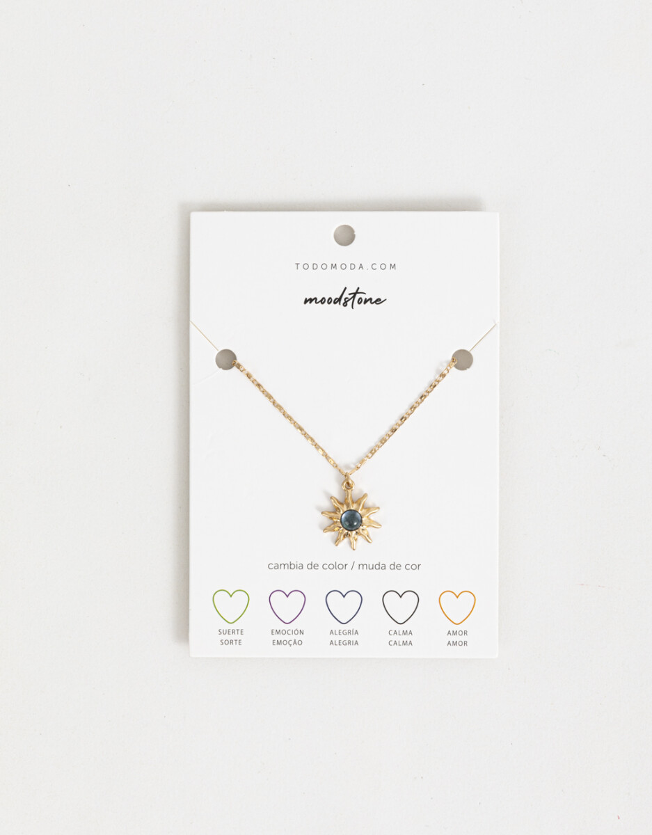 Collar Para Compartir 
