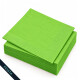 Servilleta Descartable Fessta Lisa x20 Und Verde Manzana