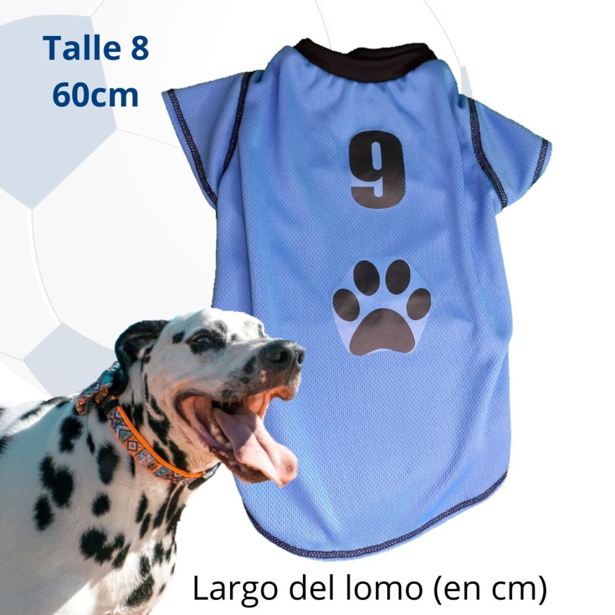 Camiseta Uruguay T:8 