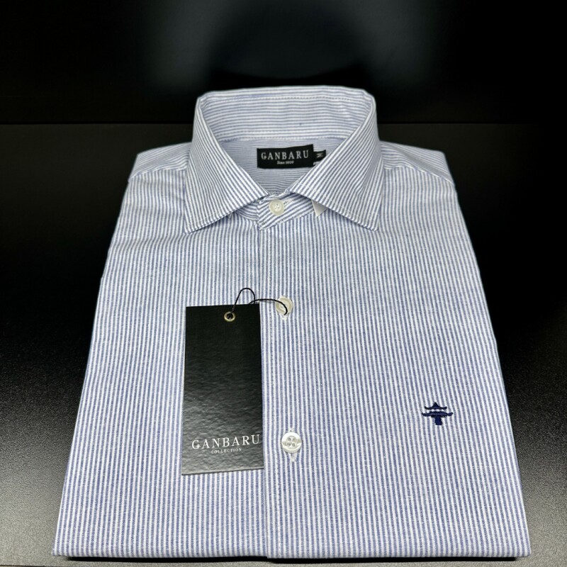 CAMISA DE LINO Blanco rayado