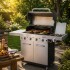 BARBACOA A GAS SIGNATURE 317 (525) BARBACOA A GAS SIGNATURE 317 (525)