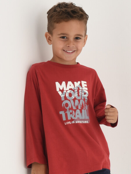 Remera estampada Bordo