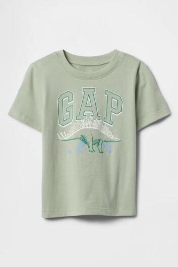Remera Gráfico Toddler Niño Desert Sage
