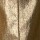 PANTALON METALIZADO FIORENZA Dorado