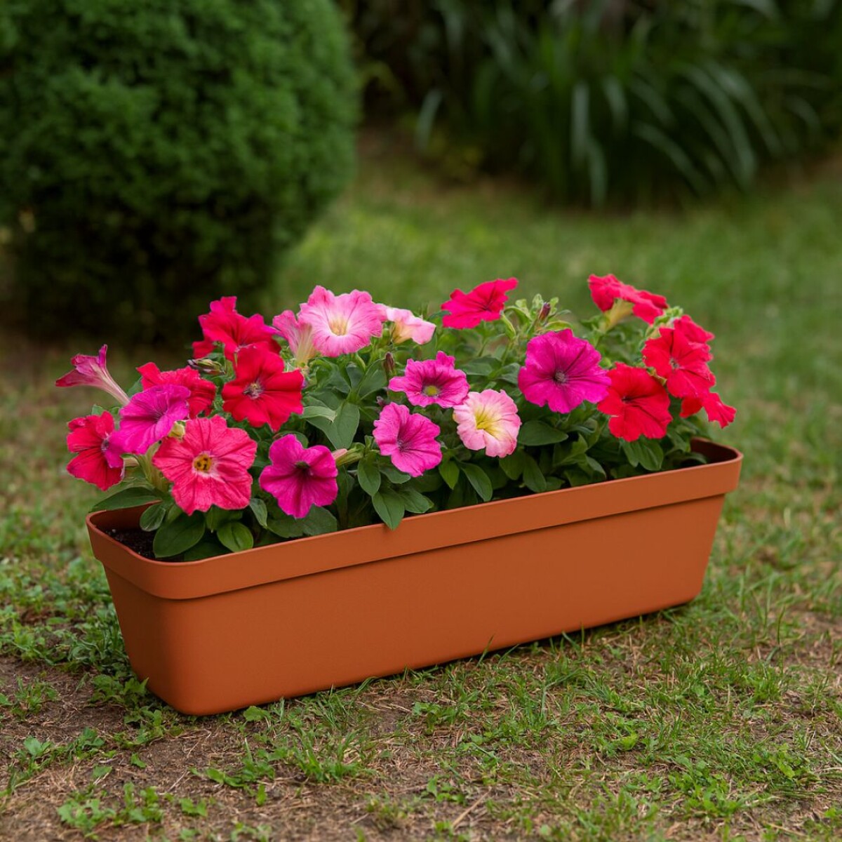 MACETA JARDINERA RECTANGULAR FLORATTA NR 80 20,5LTS TEJA - TERRACOTA 
