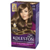 Tinta Koleston Kit Tono 60