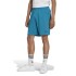 Short Adidas Adventure Azul