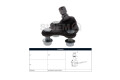 Rotula Del Kia Sportage 15-25 Izq Rotula Del Kia Sportage 15-25 Izq