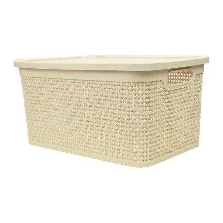 Caja simil ratán 15 lts 39x26x19 cm BEIGE