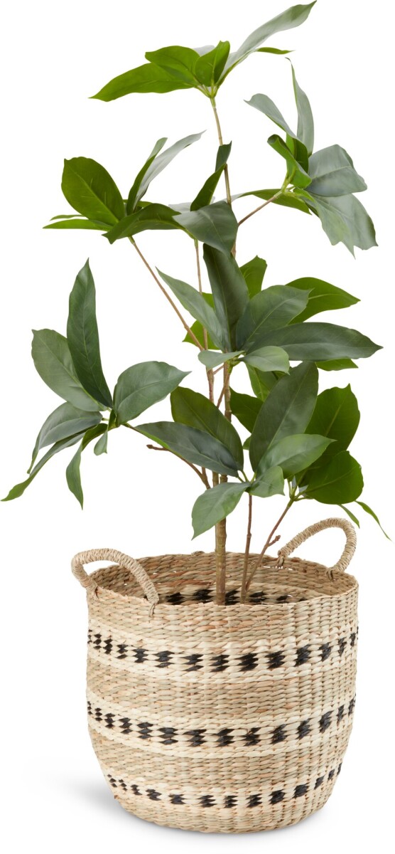 Cesta VIGIL Ø32xA27cm hierba marina 
