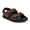 Flat Tilleep2 Dark Natural Crocco
