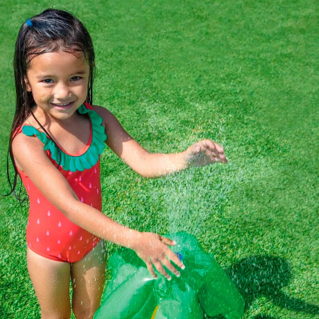 Centro De Juegos Intex Piscina C/tobogán Y Fuente Inx057166