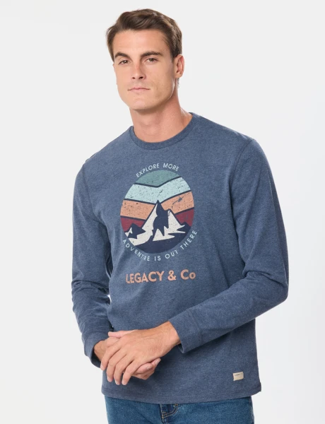 REMERA ESTAMPADA Azul