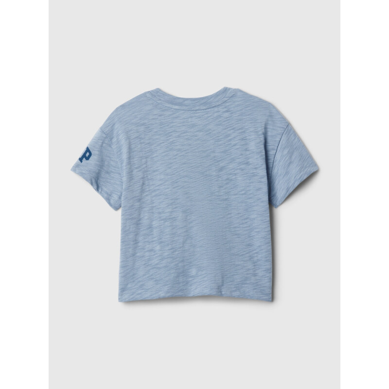 DIS SS LIC GR T BLEACH BLUE