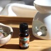 Aceite 10ml hornito Cítrico