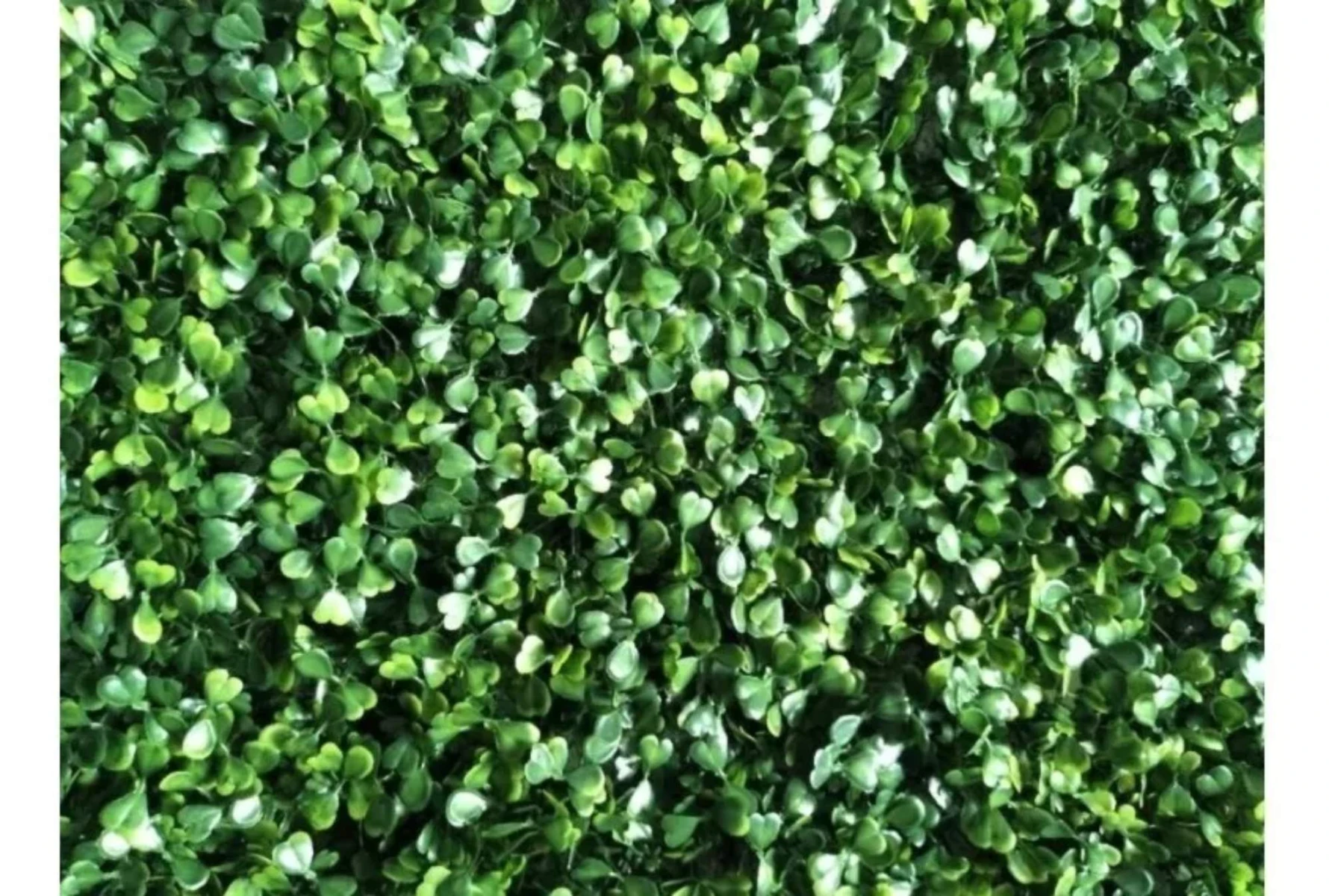 Muro Verde Jardin Vertical 60 X 40 Cm 