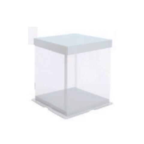 Caja Transparente 22x22x24 cm
