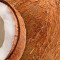 Difusor de ambientes 100ml Coco
