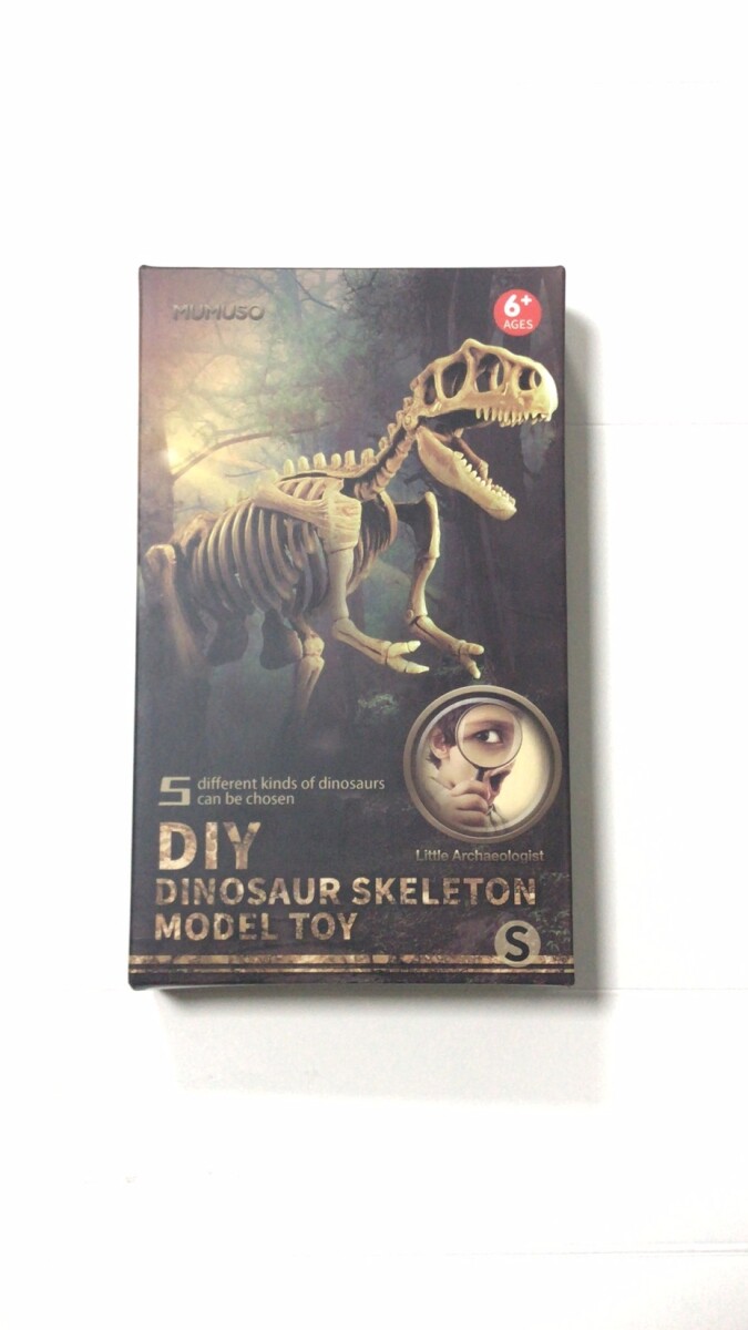 KIT DIY DE EXCAVACIÓN DE FÓSILES DE DINOSAURIO 