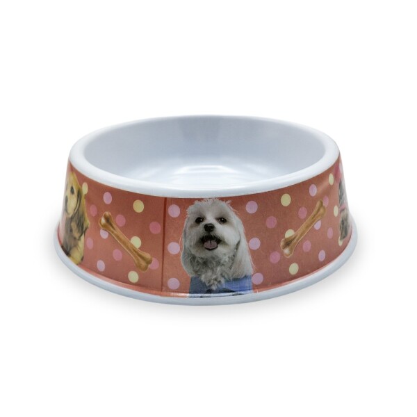 Plato Comida Agua Mascota Perros Gatos Comedero Bebedero Variante Color Rojo