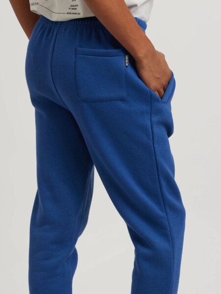 BABUCHA DIXIE BERTON AZUL