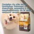 ASTRO PERROS ADULTOS RAZAS PEQUEÑAS 14 KG + 1 KG GRATIS + VASO MEDIDOR DE REGALO ASTRO PERROS ADULTOS RAZAS PEQUEÑAS 14 KG + 1 KG GRATIS + VASO MEDIDOR DE REGALO
