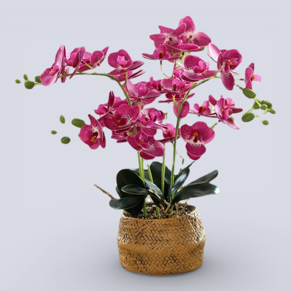 Orquídea Artificial Grande - Rosa Oscuro 