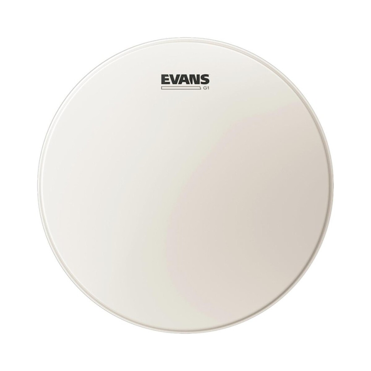 Parche Evans B14 G1d 14" Coated 