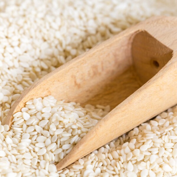 Sésamo blanco 1k Sésamo blanco 1k