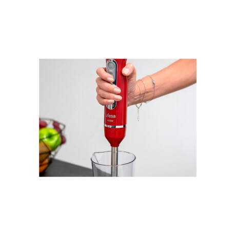 Mixer con Accesorios Ufesa BP3443 Mixer con Accesorios Ufesa BP3443