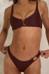 Surfi Brownie